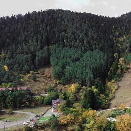 Qvibisi Holiday Borjomi מראה חיצוני תמונה