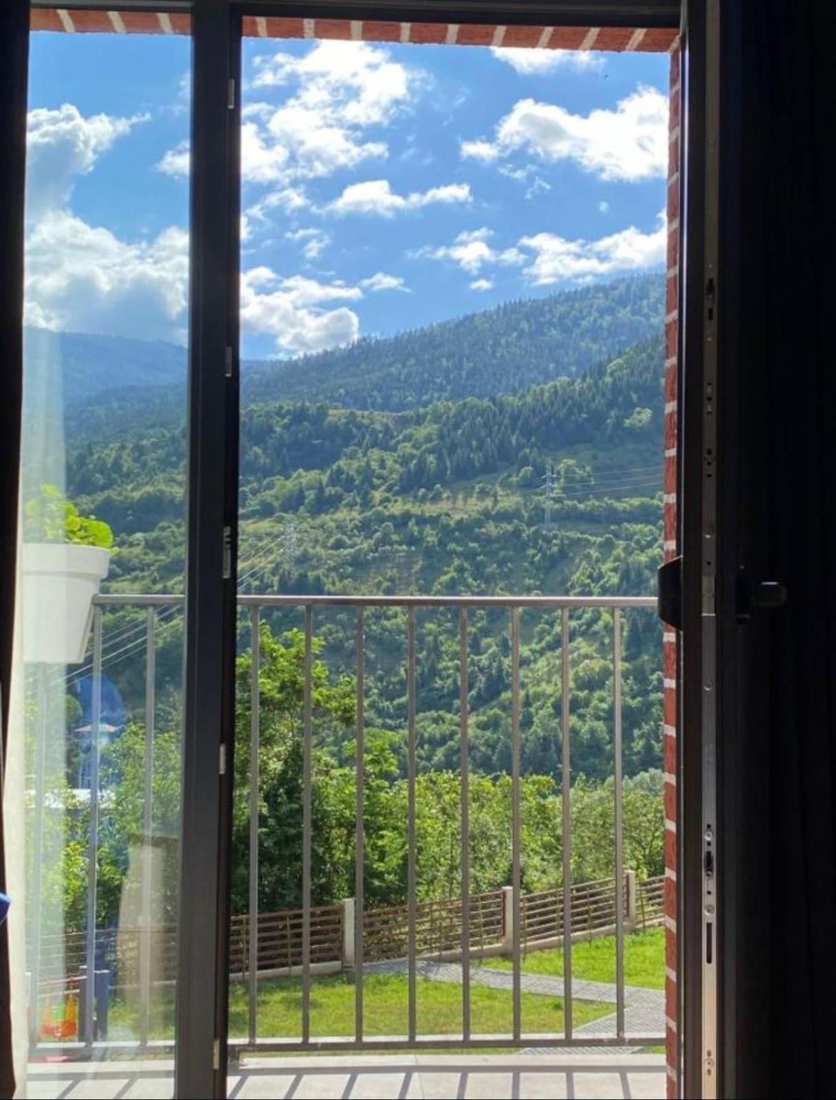 Qvibisi Holiday Borjomi מראה חיצוני תמונה