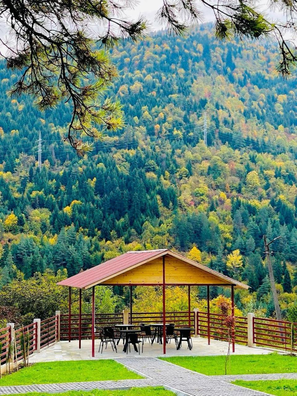 Qvibisi Holiday Borjomi מראה חיצוני תמונה