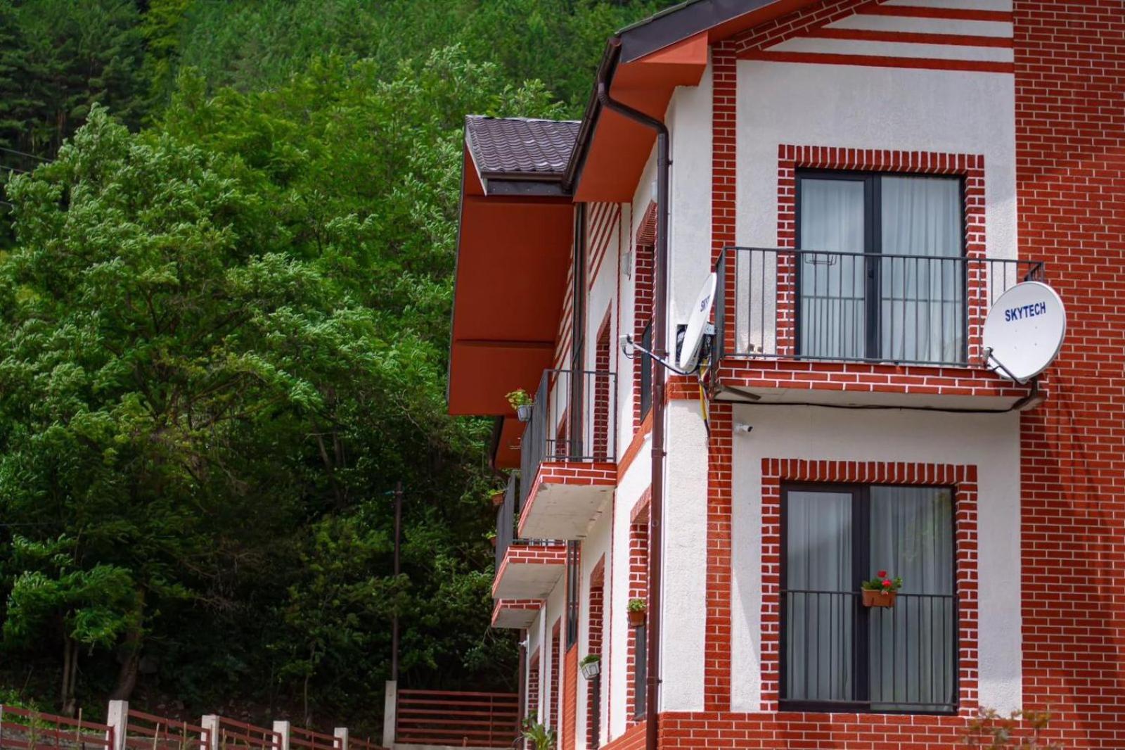 Qvibisi Holiday Borjomi מראה חיצוני תמונה