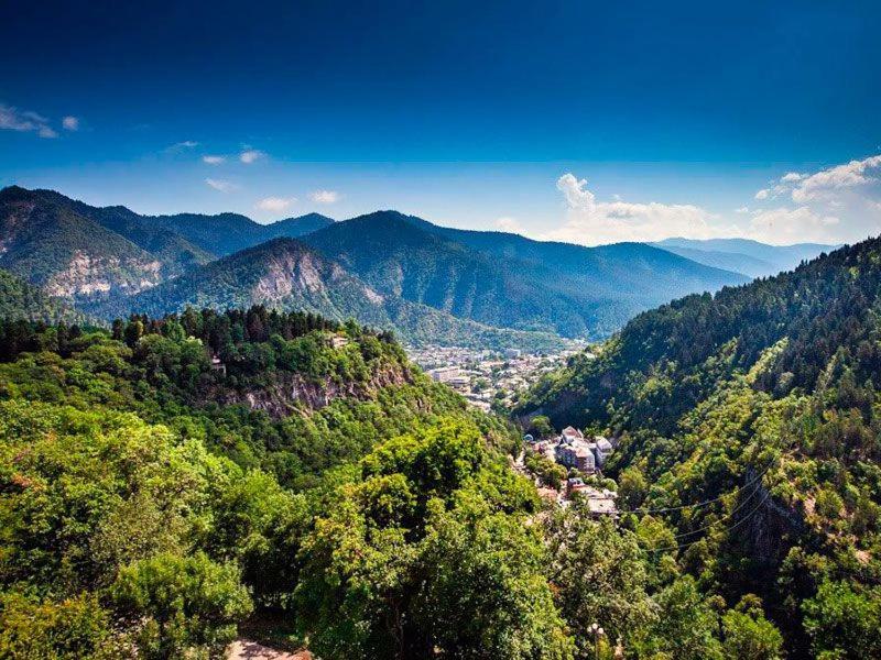 Qvibisi Holiday Borjomi מראה חיצוני תמונה