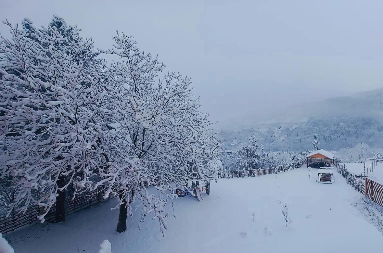 Qvibisi Holiday Borjomi מראה חיצוני תמונה