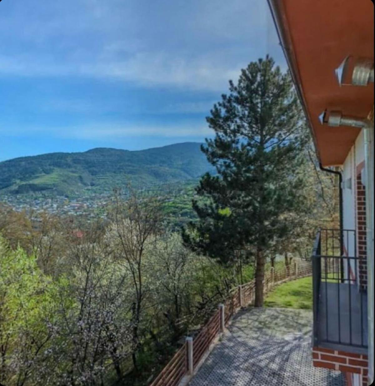 Qvibisi Holiday Borjomi מראה חיצוני תמונה