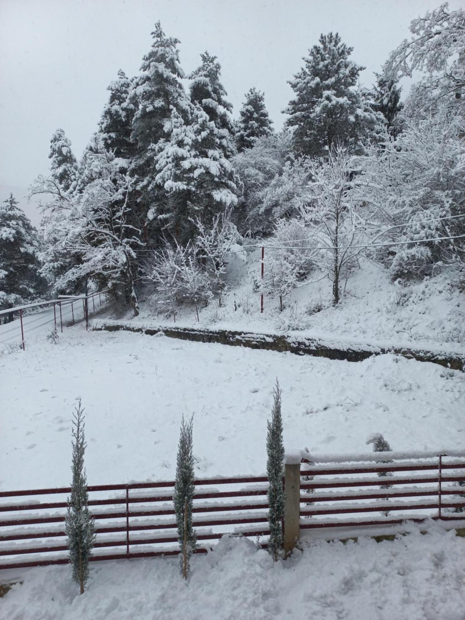 Qvibisi Holiday Borjomi מראה חיצוני תמונה