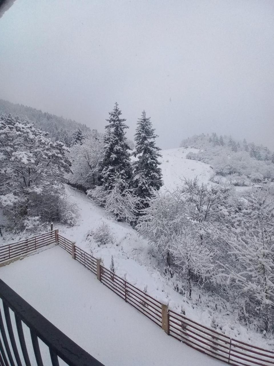 Qvibisi Holiday Borjomi מראה חיצוני תמונה