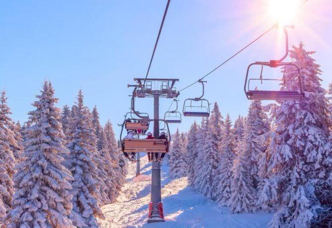 Qvibisi Holiday Borjomi מראה חיצוני תמונה