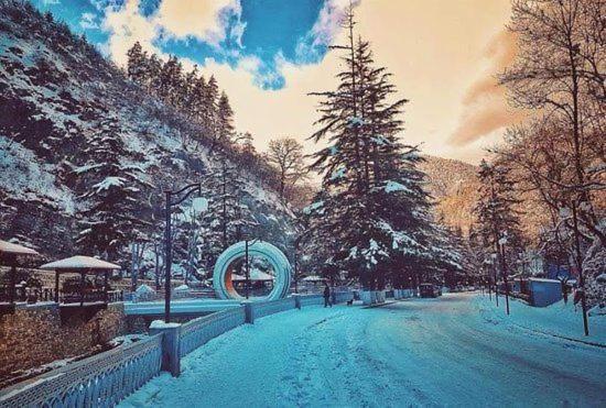 Qvibisi Holiday Borjomi מראה חיצוני תמונה