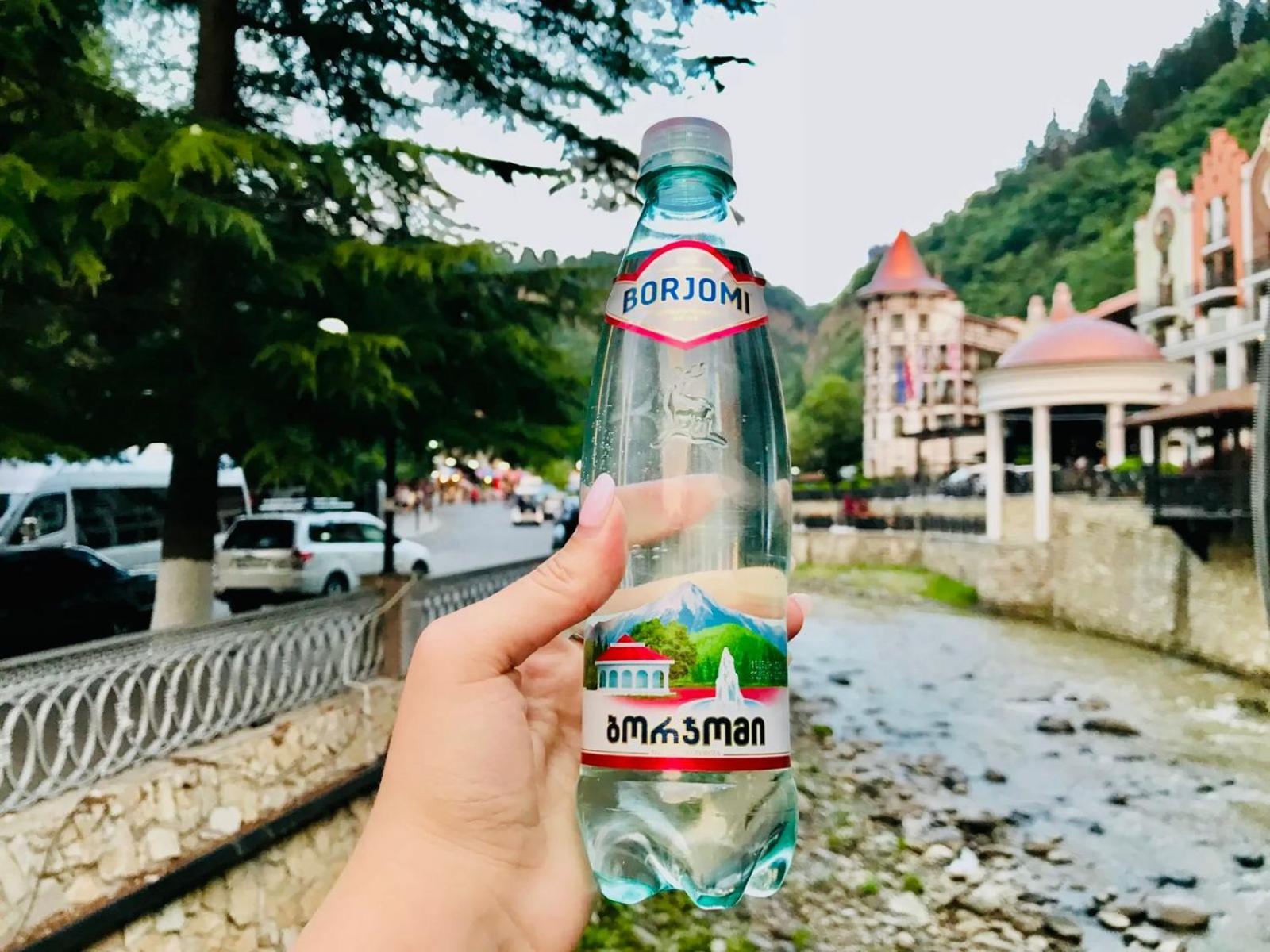 Qvibisi Holiday Borjomi מראה חיצוני תמונה