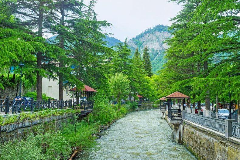 Qvibisi Holiday Borjomi מראה חיצוני תמונה